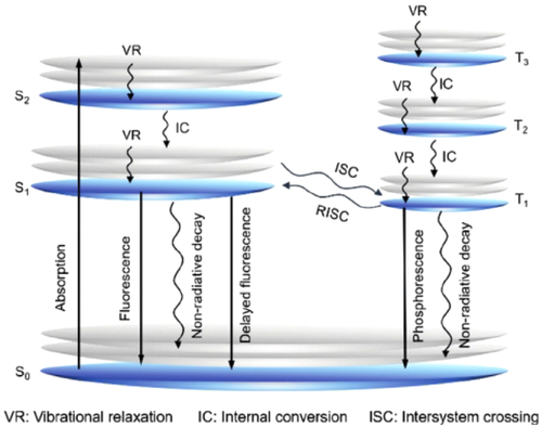 Details are in the caption following the image Details are in the caption following the image