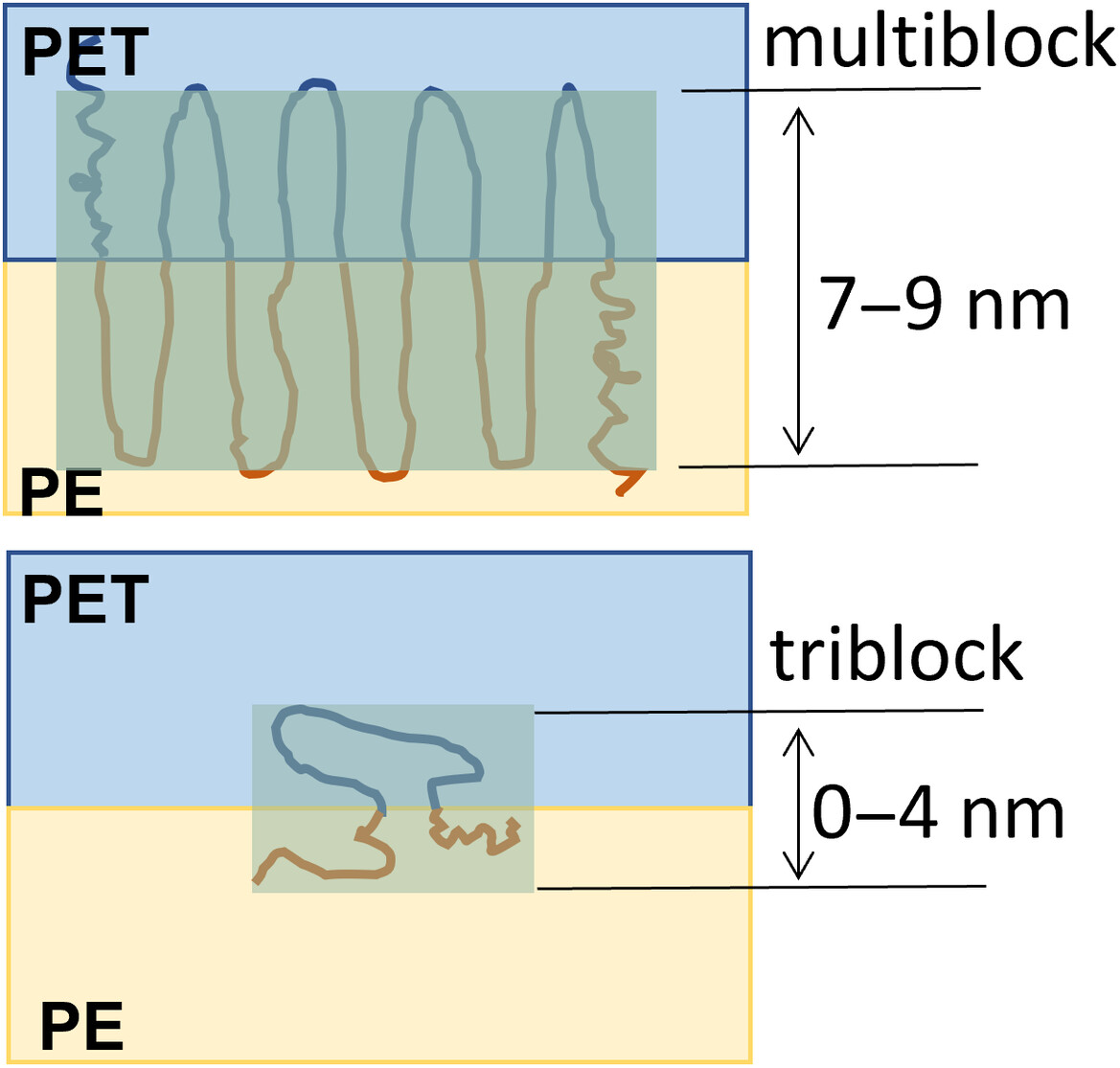 Probing the interface structure of block copolymer compatibilizers in semicrystalline polymer blends