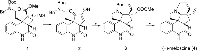 Enantioselective Total Synthesis of the Melodinus Alkaloid (+)-Meloscine