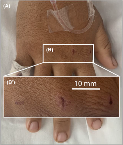 Details are in the caption following the image Details are in the caption following the image