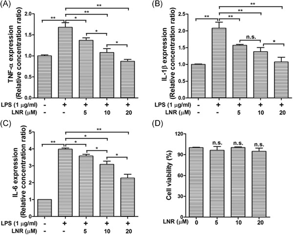 Alkaloid leonurine exerts anti-inflammatory effects via modulating MST1 expression in trophoblast cells