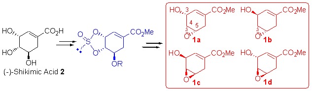 Novel and Efficient Syntheses of Four Useful Shikimate-derived Epoxy Chiral Building Blocks via Cyclic Sulfite Intermediates