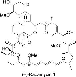 Total Synthesis of Rapamycin