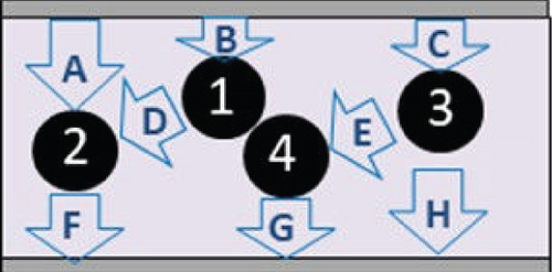 Details are in the caption following the image