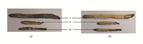 Details are in the caption following the image