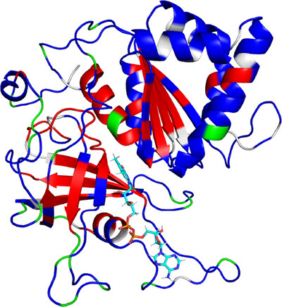 Redox-dependent hydrogen-bond network rearrangement of ferredoxin–NADP+ reductase revealed by high-resolution X-ray and neutron crystallography