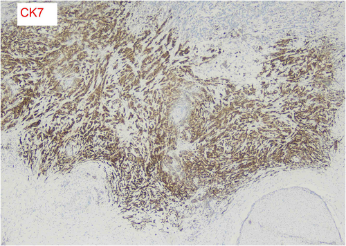 Details are in the caption following the image Details are in the caption following the image