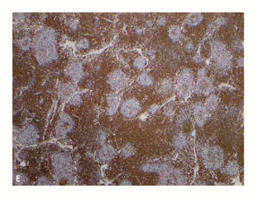 Details are in the caption following the image
