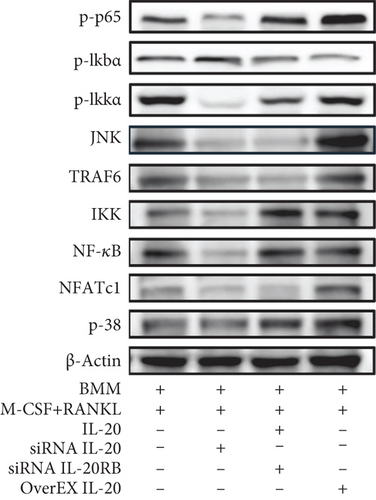 Details are in the caption following the image
