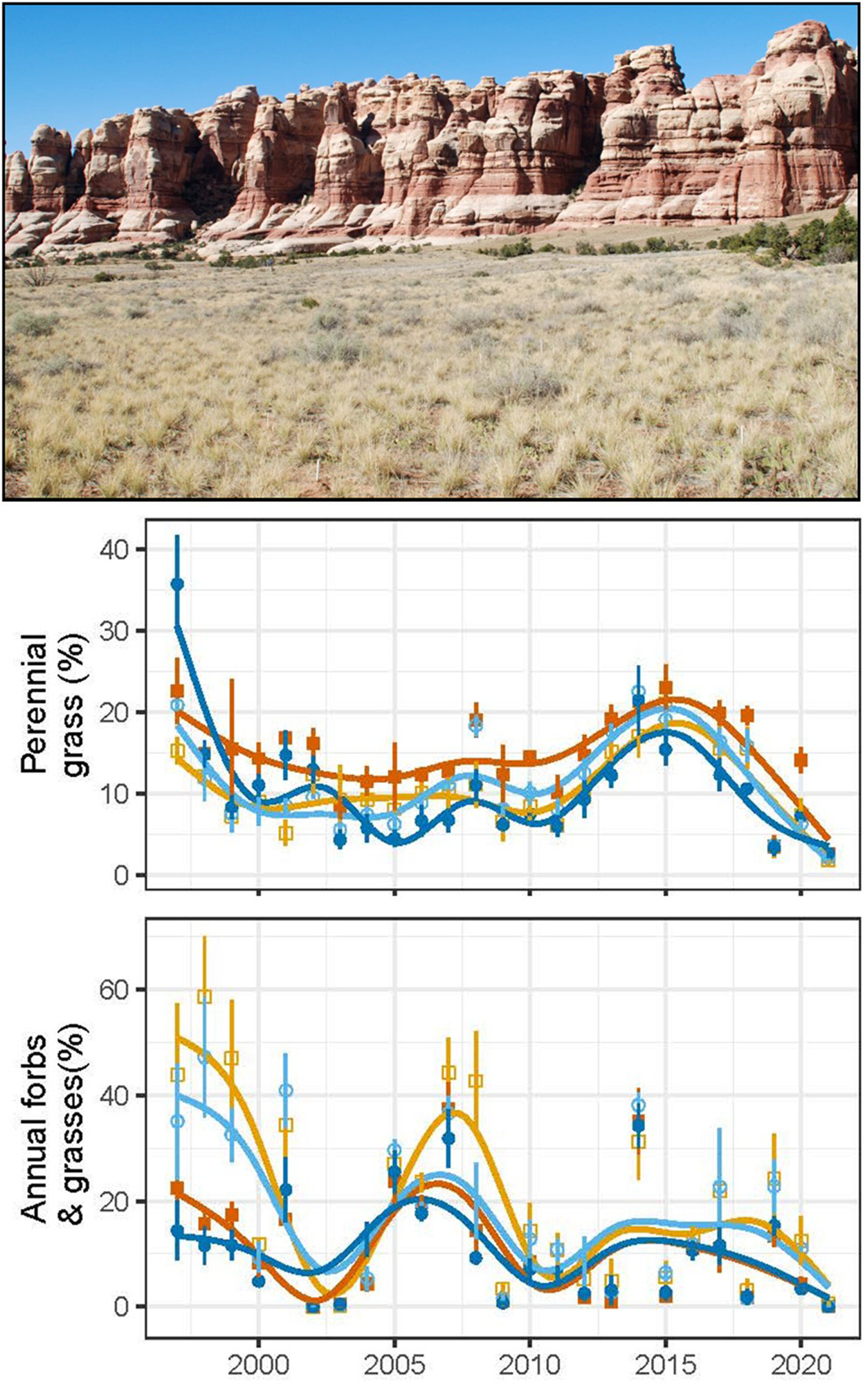 Ecosystem resilience to invasion and drought: Insights after 24 years in a rare never-grazed grassland