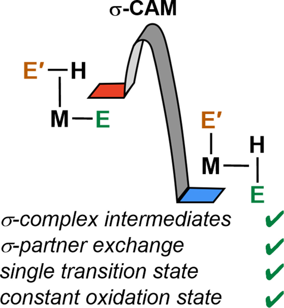 Metathesis by Partner Interchange in σ-Bond Ligands: Expanding Applications of the σ-CAM Mechanism