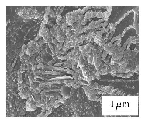 Details are in the caption following the image