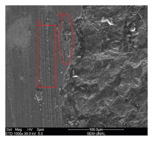Details are in the caption following the image
