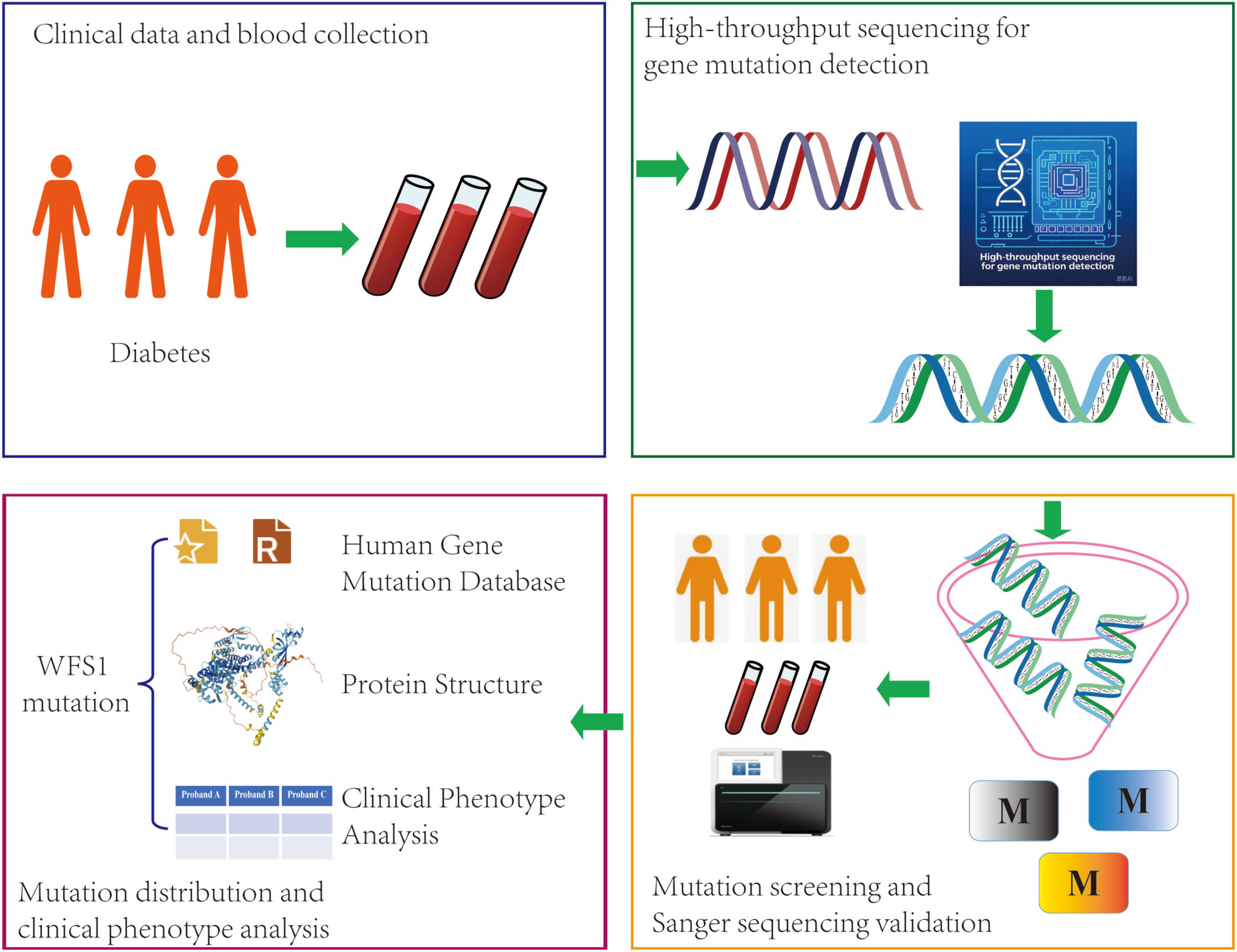 Characterization of Novel WFS1 Variants in Three Diabetes Pedigrees Issue 7, 2025