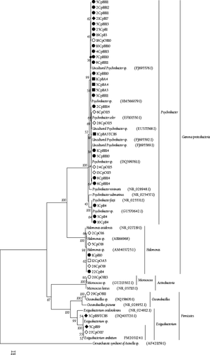 Details are in the caption following the image Details are in the caption following the image