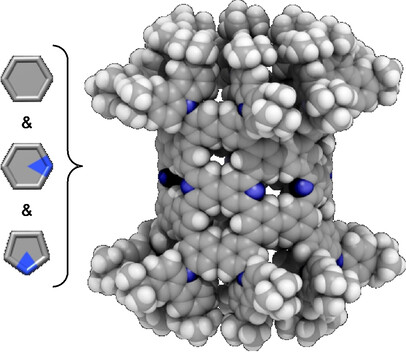 A Defective Nanotube Molecule of C552H496N24 with Pyridinic and Pyrrolic Nitrogen Atoms