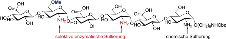 Controlled Chemoenzymatic Synthesis of Heparan Sulfate Oligosaccharides