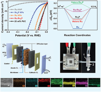 Hydroxyapatite-Derived Heterogeneous Ru-Ru2P Electrocatalyst and Environmentally-Friendly Membrane Electrode toward Efficient Alkaline Electrolyzer