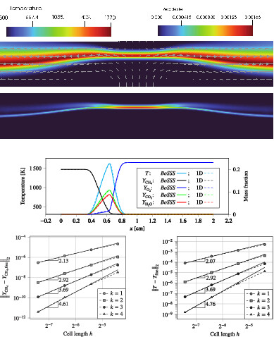 A fully coupled high-order discontinuous Galerkin method for diffusion flames in a low-Mach number framework