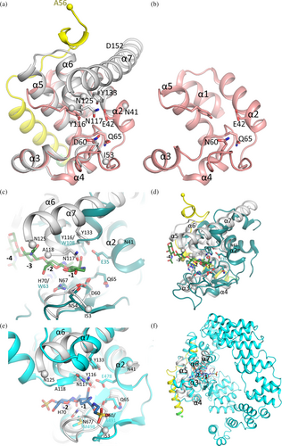 Details are in the caption following the image Details are in the caption following the image