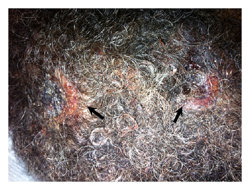 Details are in the caption following the image Details are in the caption following the image
