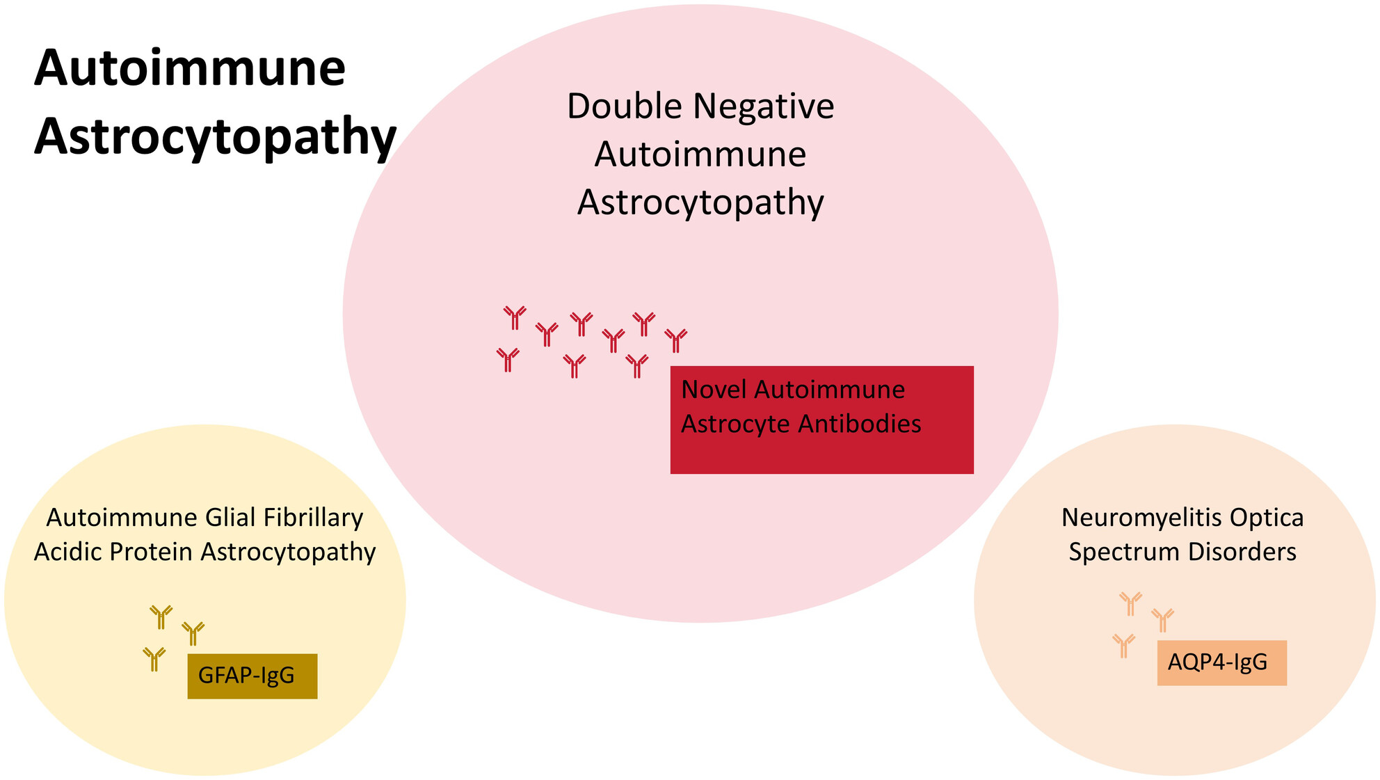 Autoimmune astrocytopathy double negative for AQP4-IgG and GFAP-IgG: Retrospective research of clinical practice, biomarkers, and pathology