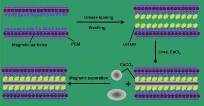 Layer-by-Layer Assembled Nanotubes as Biomimetic Nanoreactors for Calcium Carbonate Deposition