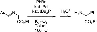 Neue Methoden zur Palladium-katalysierten α-Arylierung von Estern