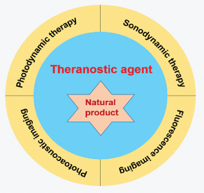 Recent advances in theranostic agents based on natural products for photodynamic and sonodynamic therapy