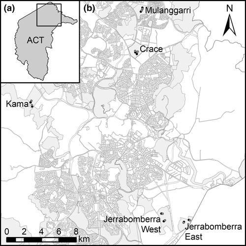 Details are in the caption following the image