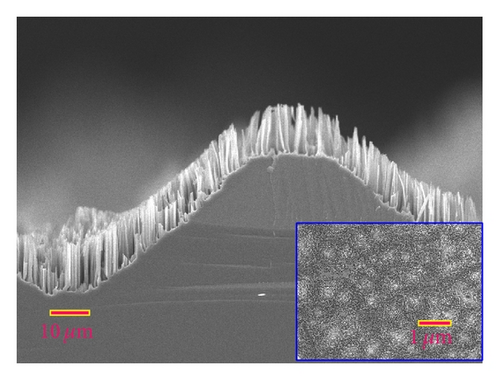 Details are in the caption following the image