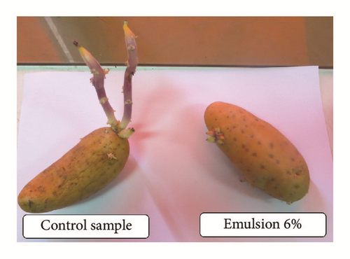Details are in the caption following the image