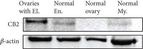 Details are in the caption following the image