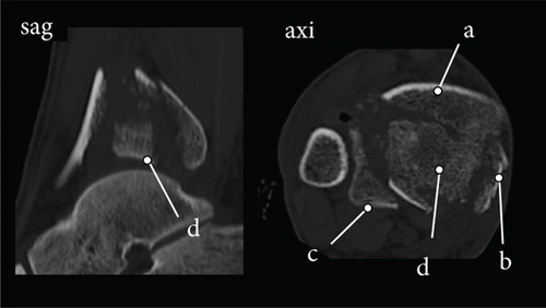 Details are in the caption following the image Details are in the caption following the image