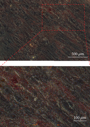 Details are in the caption following the image