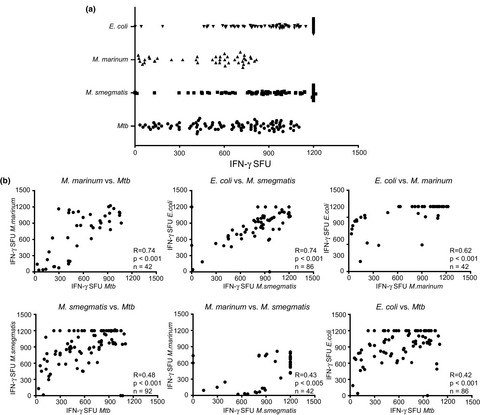 The MAIT TCRβ chain contributes to discrimination of microbial ligand