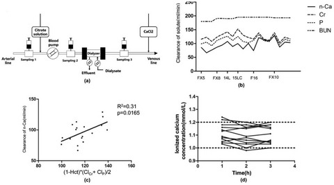 A mathematical estimation for quantified calcium supplementation during intermittent hemodialysis using regional citrate anticoagulation