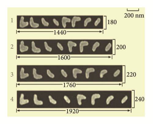 Details are in the caption following the image