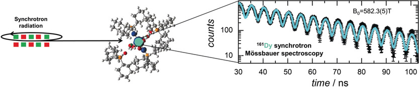 161Dy Time-Domain Synchrotron Mössbauer Spectroscopy for Investigating Single-Molecule Magnets Incorporating Dy Ions