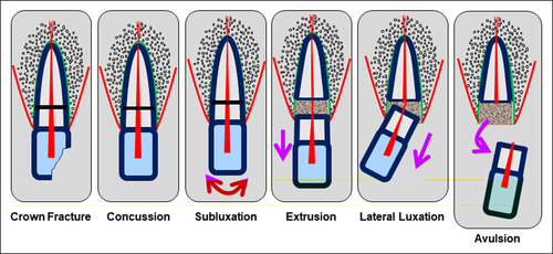 Details are in the caption following the image Details are in the caption following the image