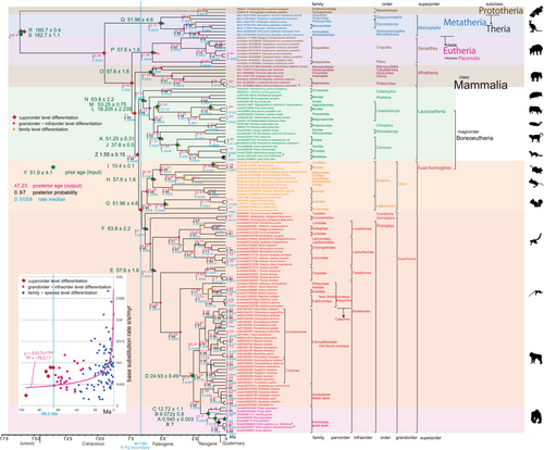 Details are in the caption following the image Details are in the caption following the image