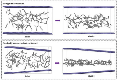 Numerical Simulation on Chain Dynamic of Polymer Solution in Microchannels: A Dissipative Particle Dynamics Study