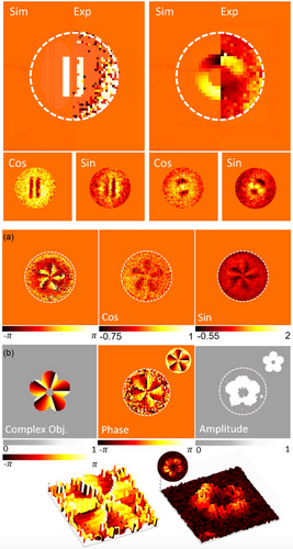 Details are in the caption following the image Details are in the caption following the image