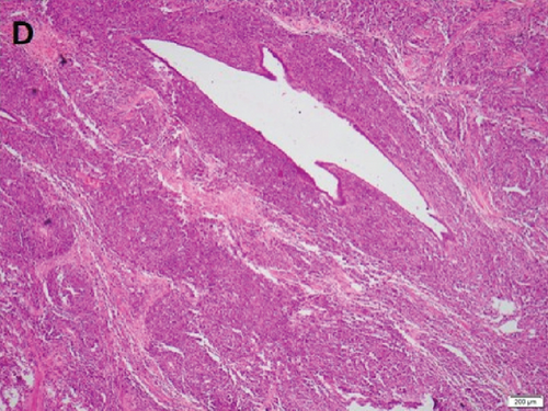 Details are in the caption following the image Details are in the caption following the image