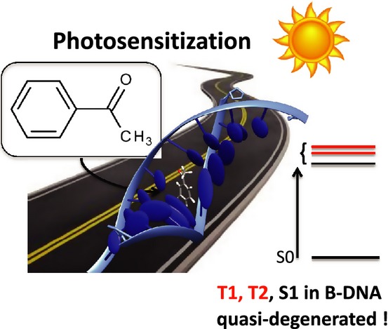 Photophysics of Acetophenone Interacting with DNA: Why the Road to Photosensitization is Open