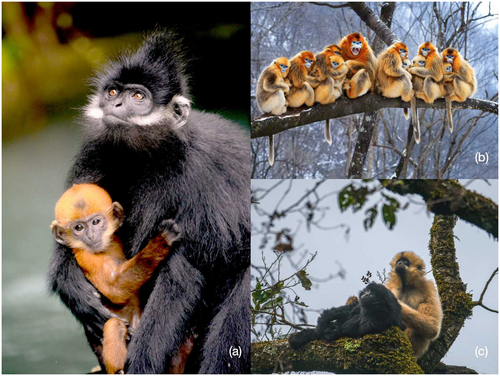Details are in the caption following the image Details are in the caption following the image