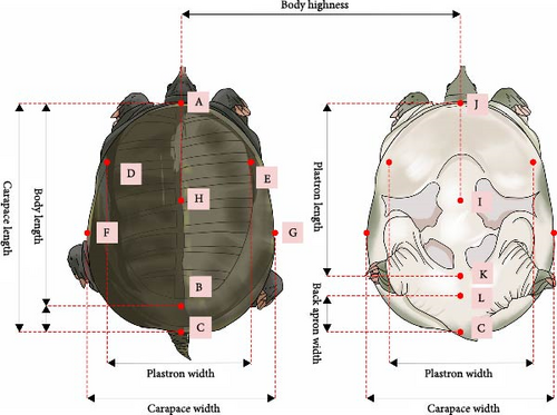 Details are in the caption following the image Details are in the caption following the image