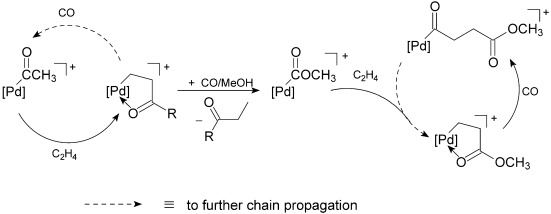The Complete Delineation of the Initiation, Propagation, and Termination Steps of the Carbomethoxy Cycle for the Carboalkoxylation of Ethene by Pd–Diphosphane Catalysts