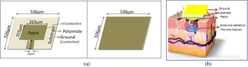 Details are in the caption following the image Details are in the caption following the image