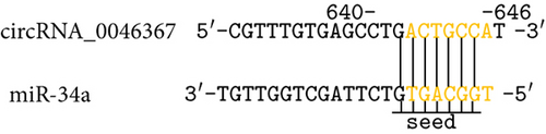 Details are in the caption following the image